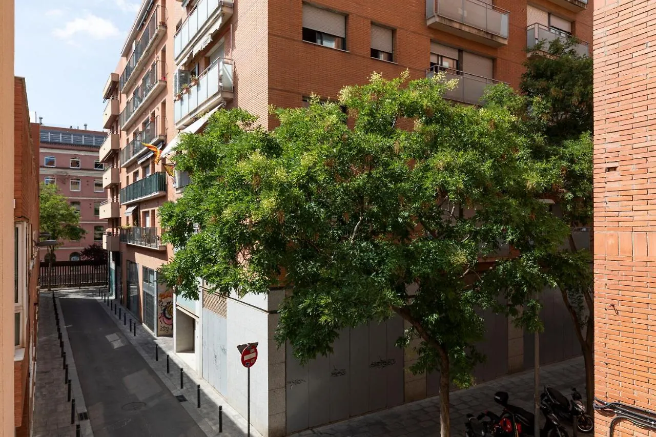 Ab Placa De Sants Barcelona Apartment